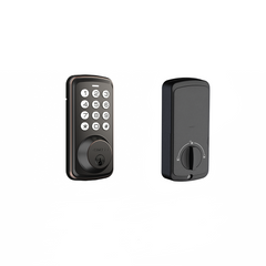 DZS Single Lock Fingerprint Model - Black (Set)