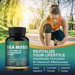 Organic Burdock Root, Bladderwrack, and Sea Moss Extract Powder