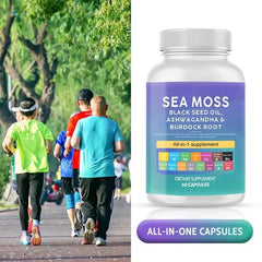 Organic bladderwrack seamoss extract powder (Irish seaweed gummy - new seaweed white)