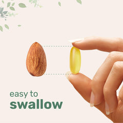 Fish oil soft capsule
