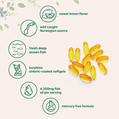 Fish oil soft capsule