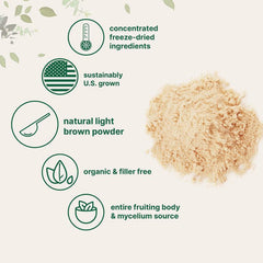 Lion's mane mushroom powder (or Hericium erinaceus powder)