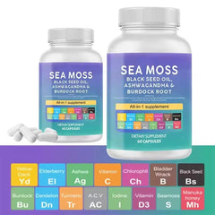 Organic bladderwrack seamoss extract powder (Irish seaweed gummy - new seaweed white)