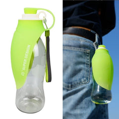 20 OZ Pet Water Bottle Leaf Design2