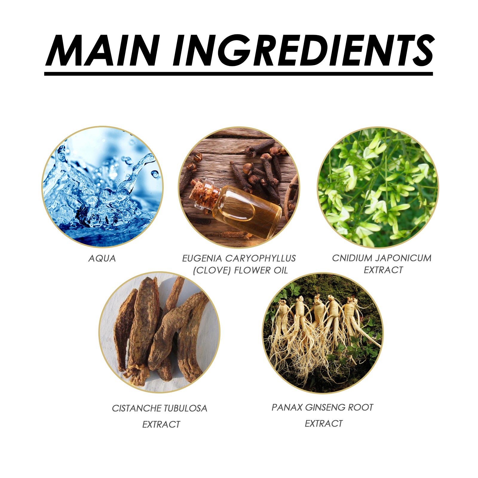 Perfume Spray: Natural, Niche, Long-lasting, Releasing Charm, Men's Atmosphere Dating Perfume