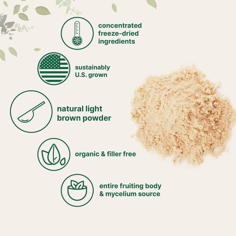 Lion's mane mushroom powder (or Hericium erinaceus powder)