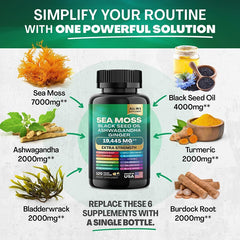 Sea Moss & Shilajit Capsule
