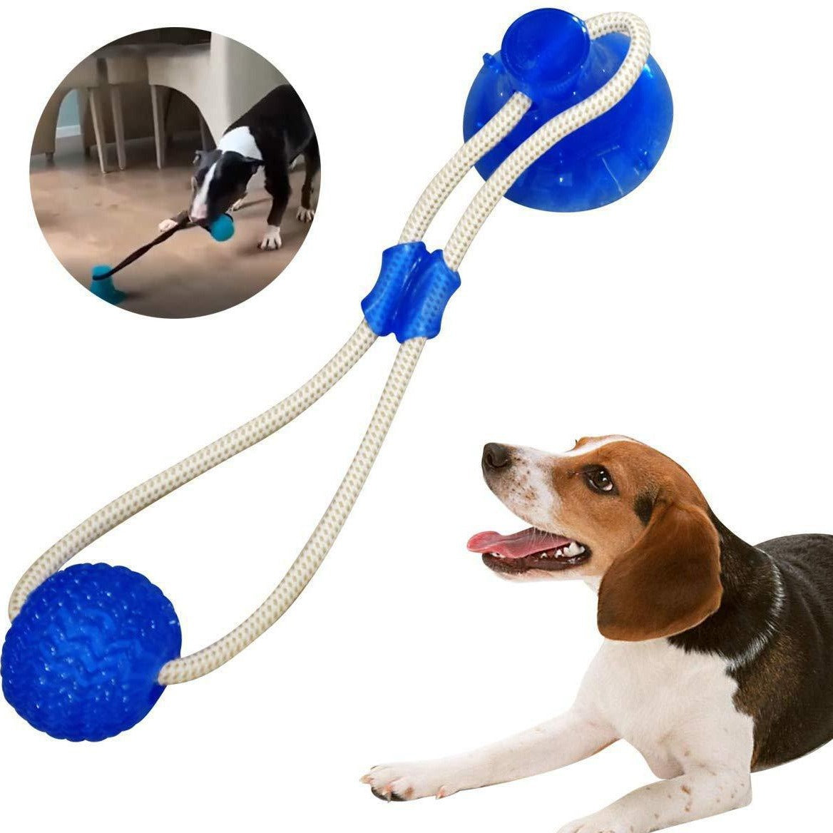 Pet Dog Suction Cup Toy