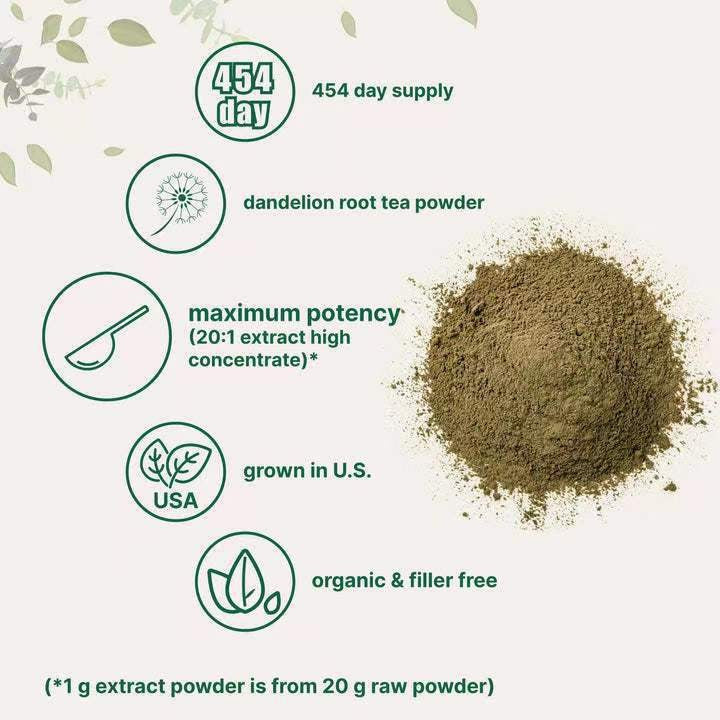 TK overseas hot selling product, cross-border source factory, dandelion root powder (Dandelion root powder in stock, wholesale)