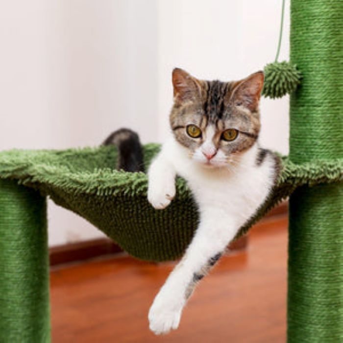 Cactus Cat Tree 40" Cat Tower with Large Metal Carpet Hammock, Cat Scratching Post for Indoor Cats with Condo& Dangling Ball, Green