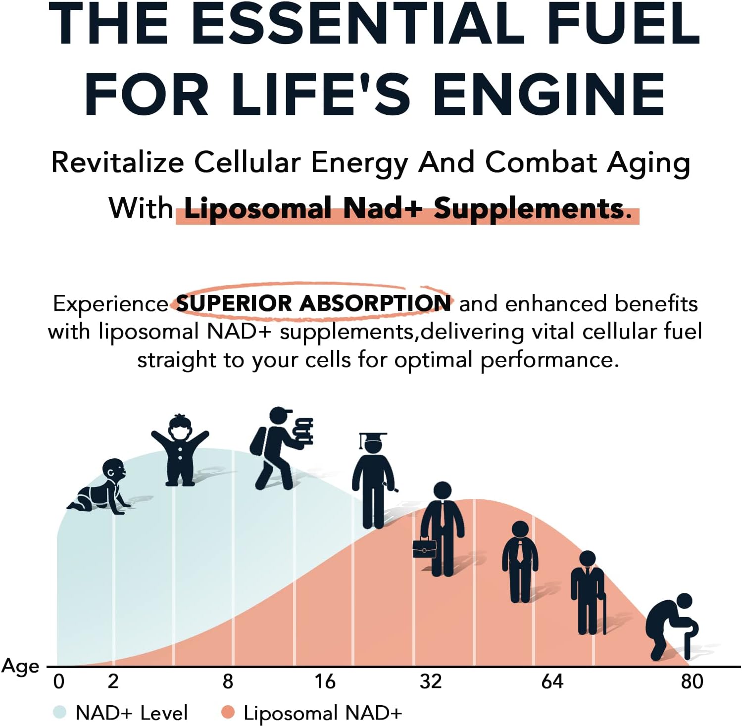 NAD+ Supplement for Skin Aging Support