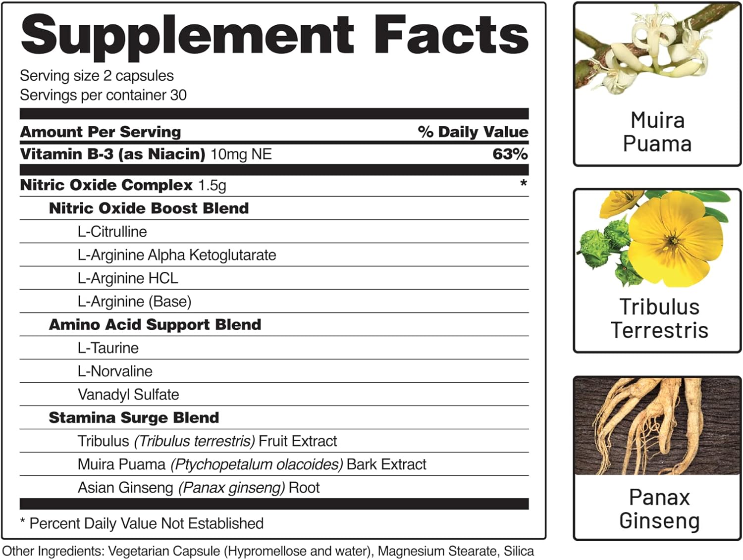 Nitric Oxide Booster